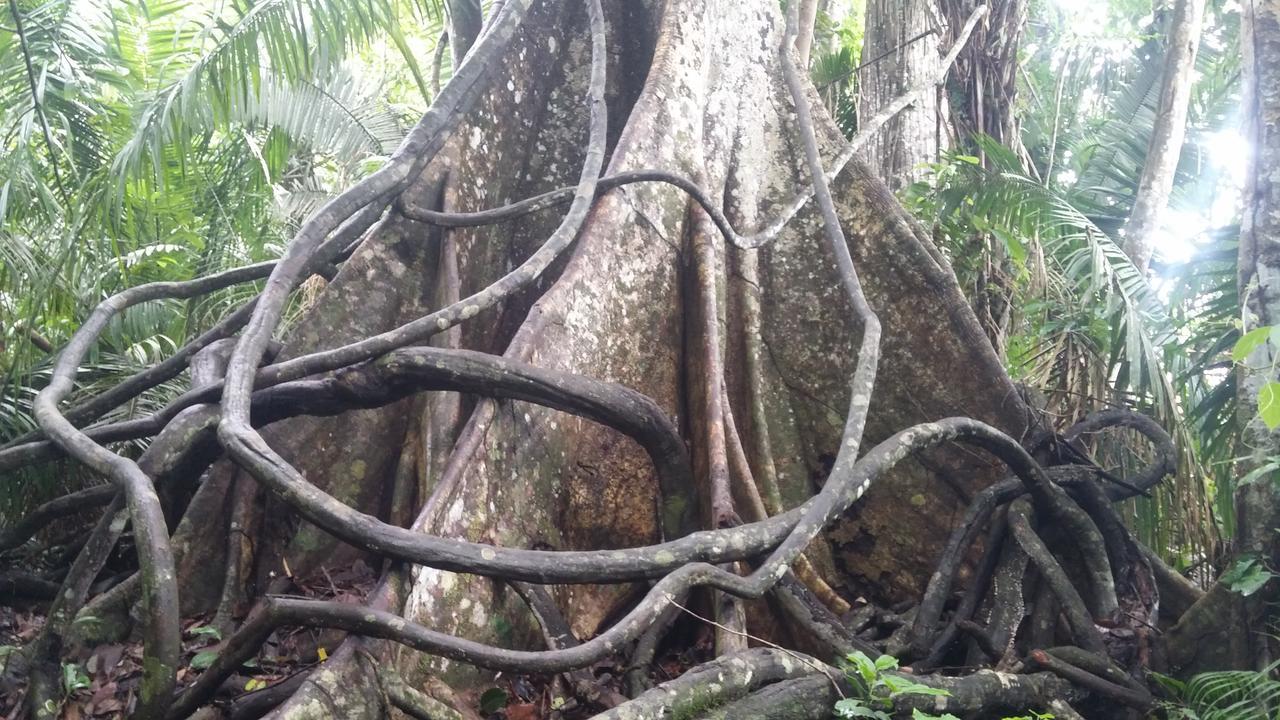 Casa Sandoval Villa Puerto Maldonado Eksteriør bilde